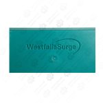 کنترل یونیت سبز دماترون